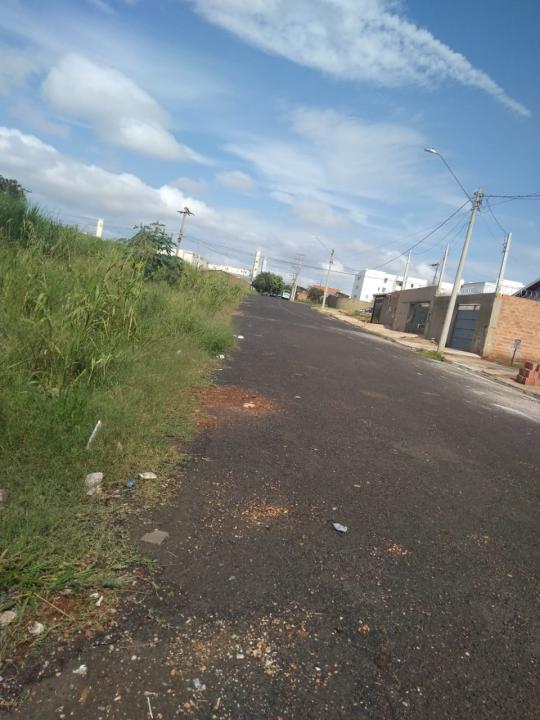 Foto 6 de 19 — Reclamação: “Onde deveria ser uma rua, só tem mato, lixo e água parada”, diz morador